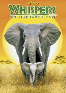Bisbiglio - Elefantino coraggioso streaming
