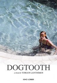 Dogtooth streaming