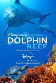 Dolphin Reef – Echo, il delfino streaming