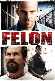 Felon – Il colpevole streaming