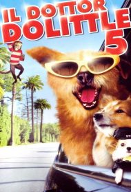 Il dottor Dolittle 5 streaming