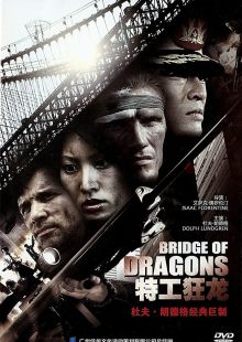 Il ponte del dragone streaming