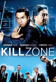 Kill Zone [Sub-ITA] streaming
