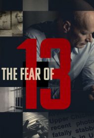 La paura del numero 13 [Sub-Ita] streaming
