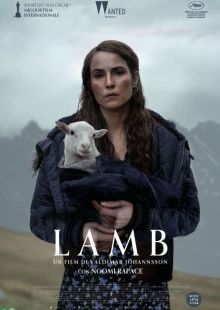 Lamb streaming
