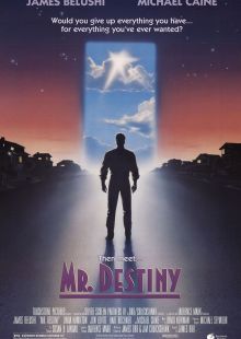 Mr. Destiny streaming
