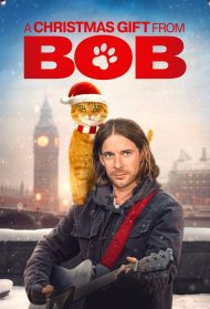 Natale con Bob streaming