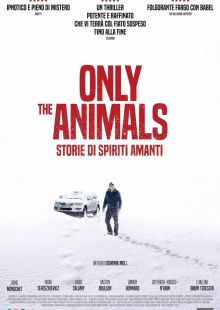 Only the Animals - Storie di spiriti amanti streaming