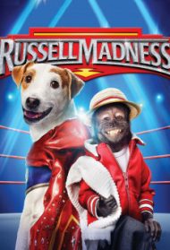Russell Madness streaming