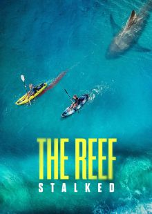 The Reef: intrappolate streaming